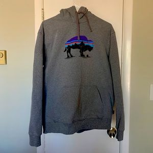 Patagonia Bison Hoodie